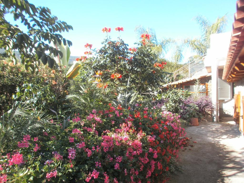 Finca las Palmeras Icod De Los Vinos Habitación foto