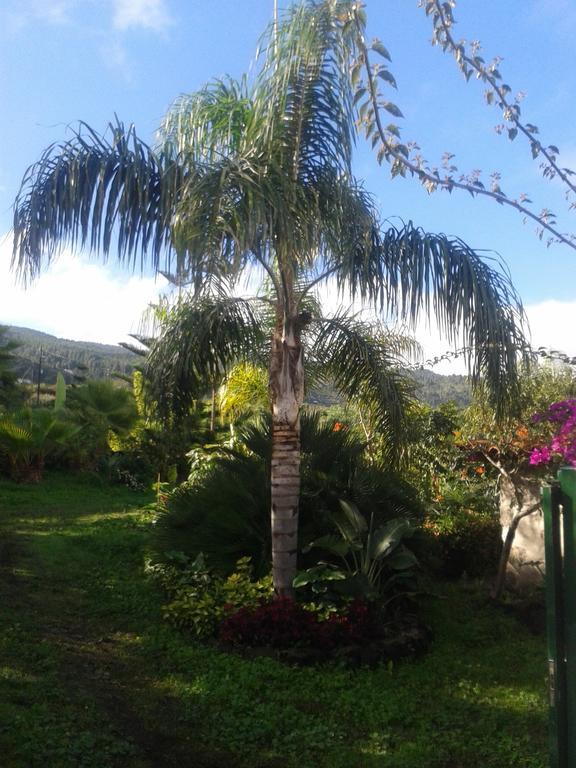Finca las Palmeras Icod De Los Vinos Habitación foto