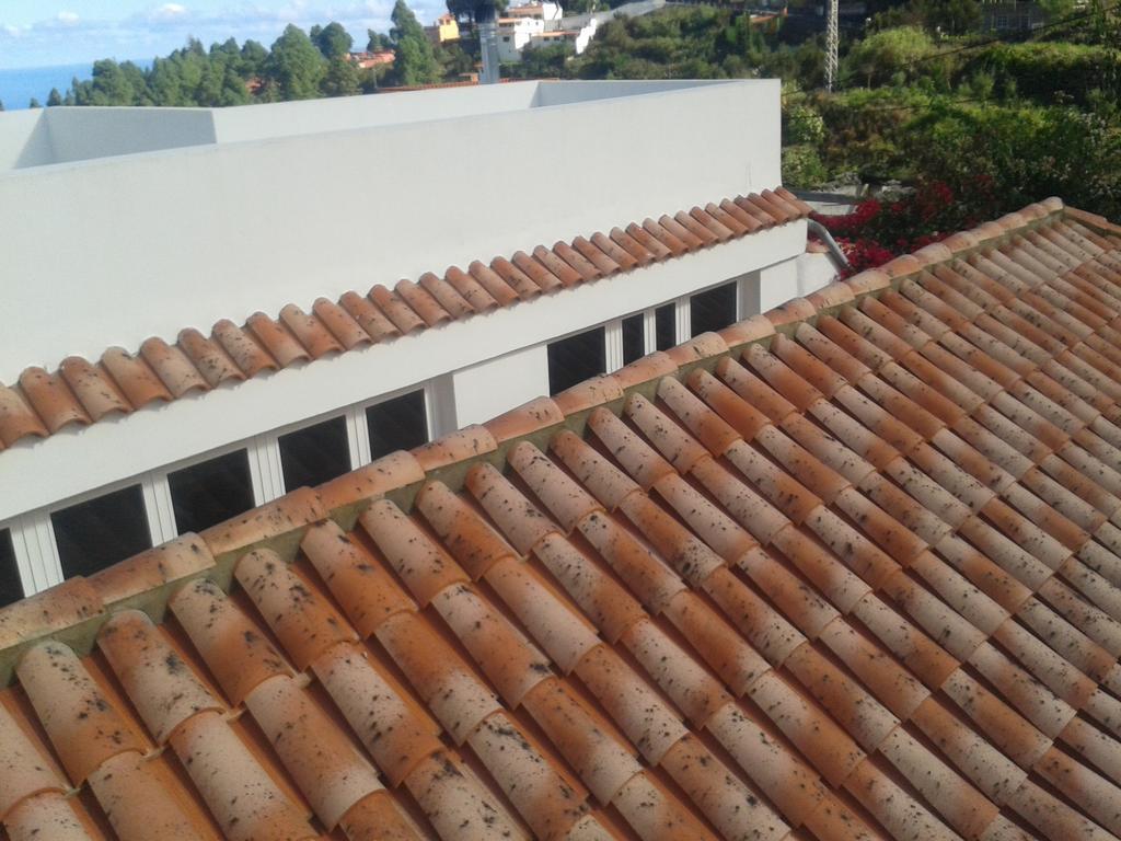 Finca las Palmeras Icod De Los Vinos Habitación foto